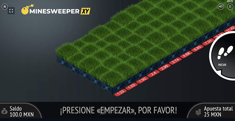 minesweeper XY minesweeper XY